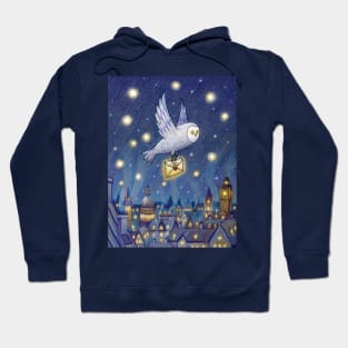 Magic owl Hoodie